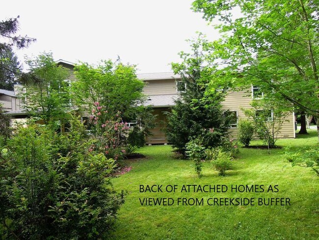 back yard greenbelt area to creek - 323 3rd Pl NW