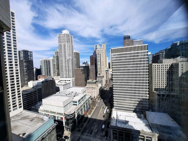 Building Photo - 535 N Michigan Ave