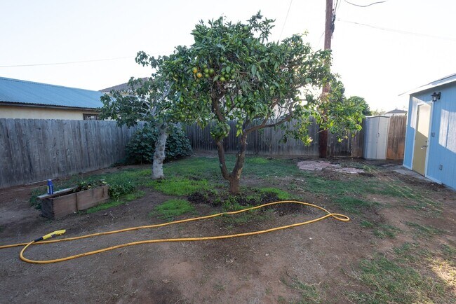 Building Photo - Newly remodeled 3 bedroom 1.5 Bath