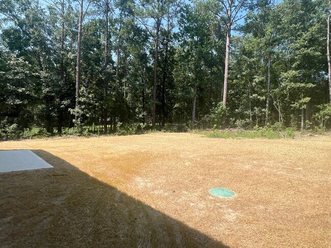 Building Photo - Beautifully Done & Brand New 4BD/2.5 Home in Jones Co.