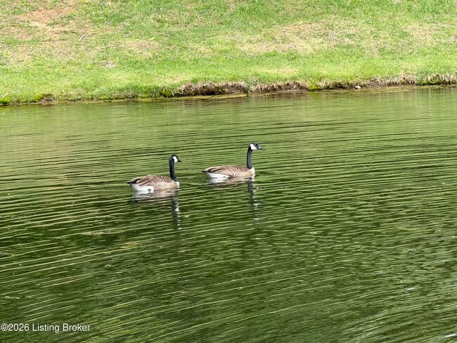 Building Photo - 2601 Callery Place