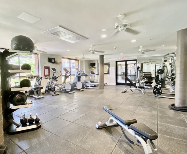 gym - 1465 C St