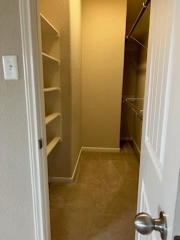 Building Photo - 6106 Grassy Haven Ln