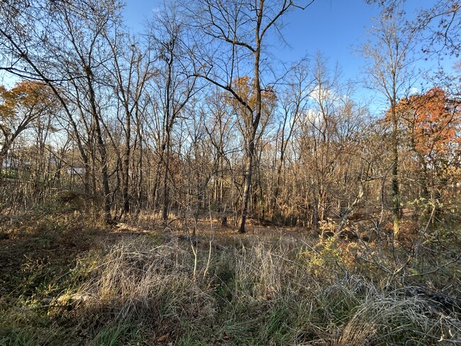 Property backs up to wooded lot - 612 W Gordon St