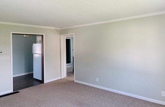 Building Photo - 107 Melmore St