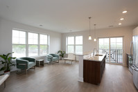 Interior Photo - The Square