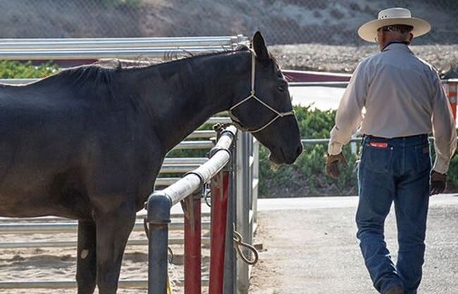 Building Photo - Coming Soon: Charming 3Bd 2Ba Condo in 55+ Community