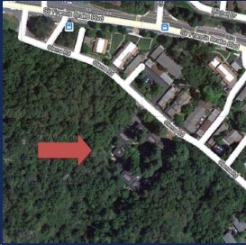 Aerial Photo - Redwood Glade