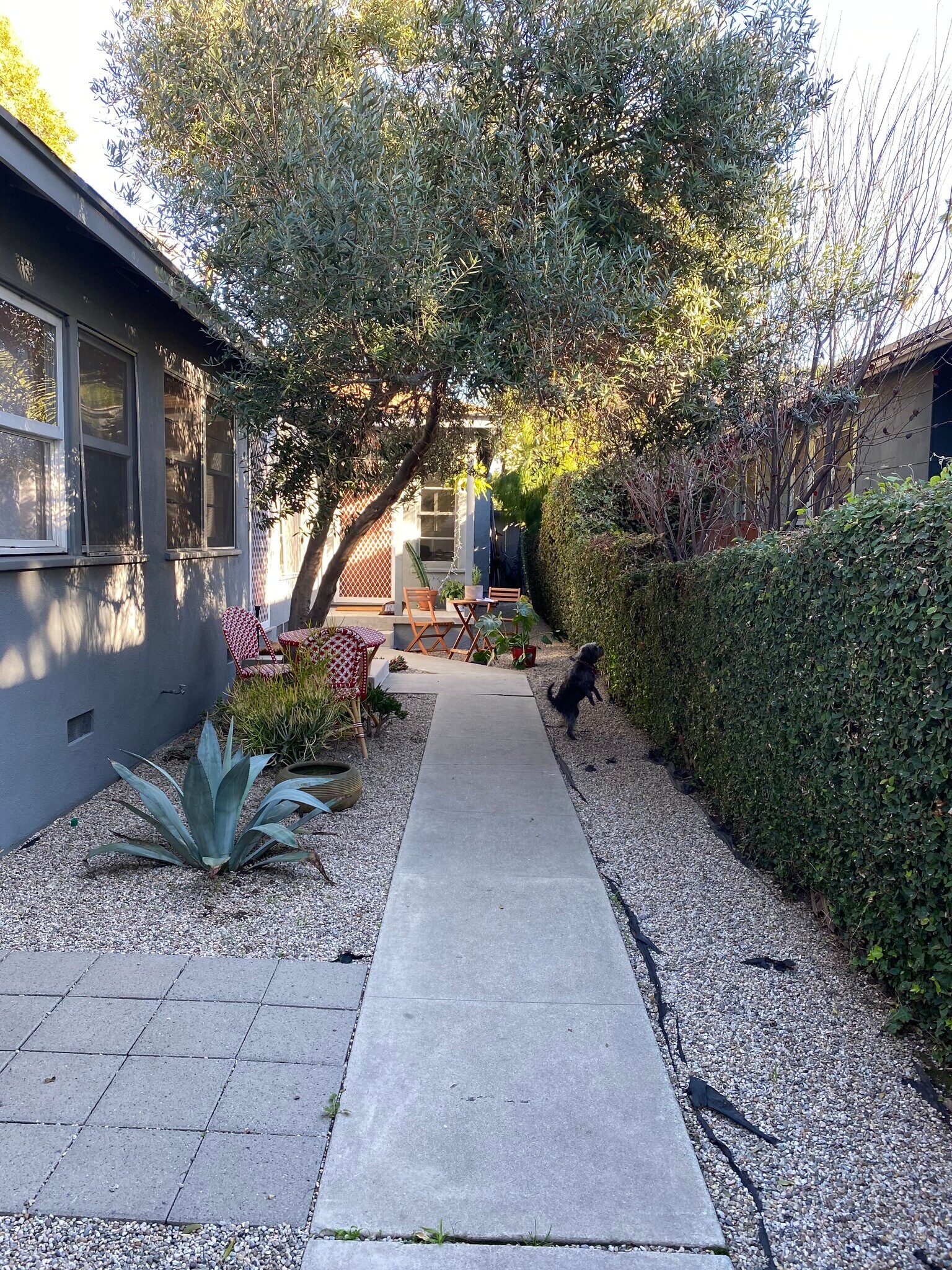 pathway to other 2 units - 622 Venezia Ave