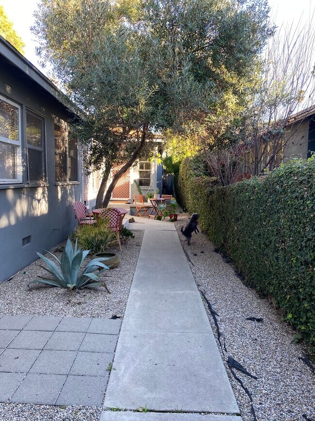 pathway to other 2 units - 622 Venezia Ave