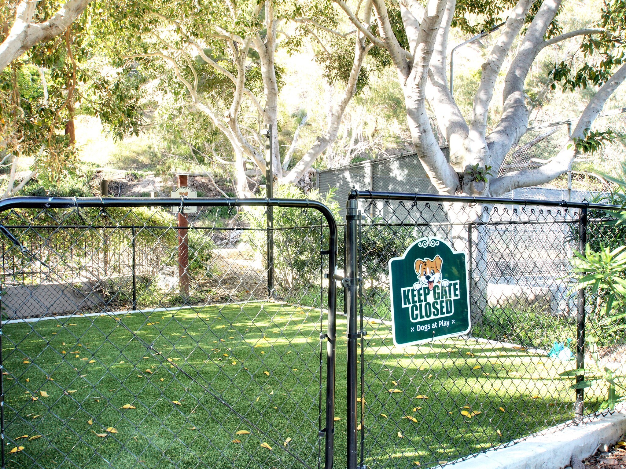 Building Photo - 6314 Friars Rd