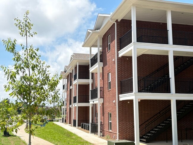 Building Photo - Olive Street Apartments