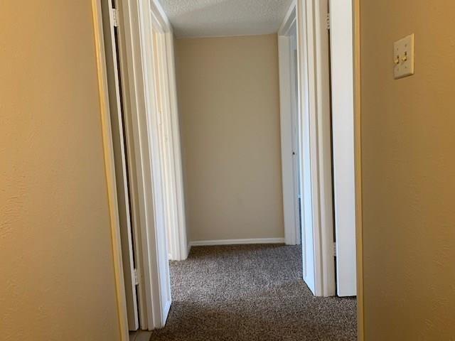 Building Photo - 207 Trellis Pl