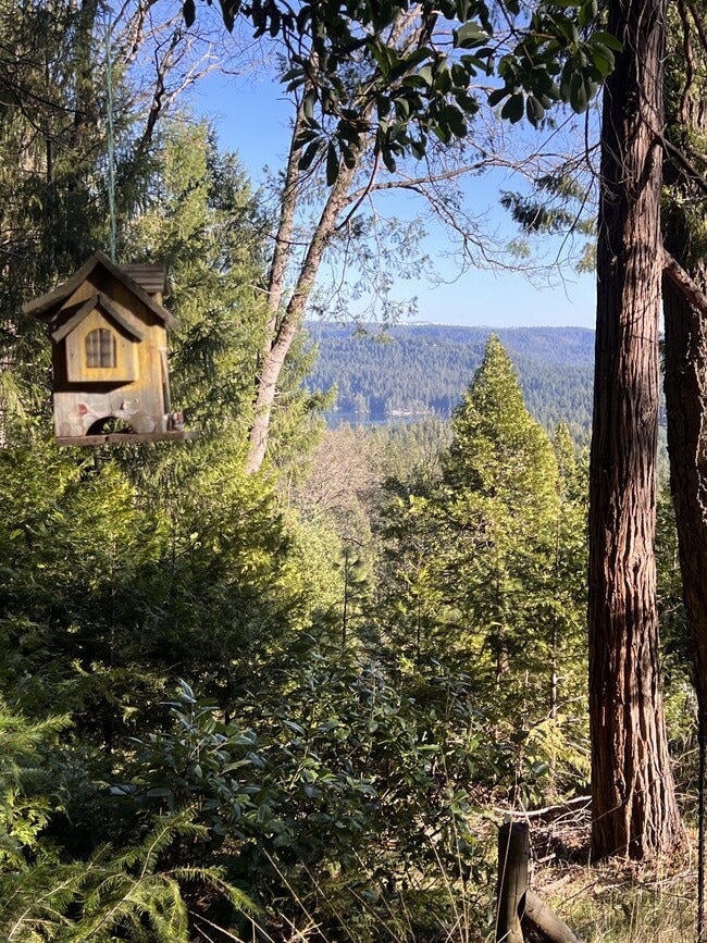 Building Photo - 19818 Scotts Flat Rd