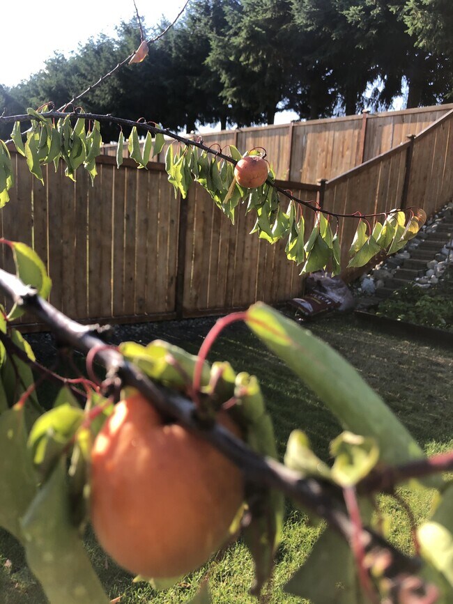 Building Photo - 10620 101st St Ct SW