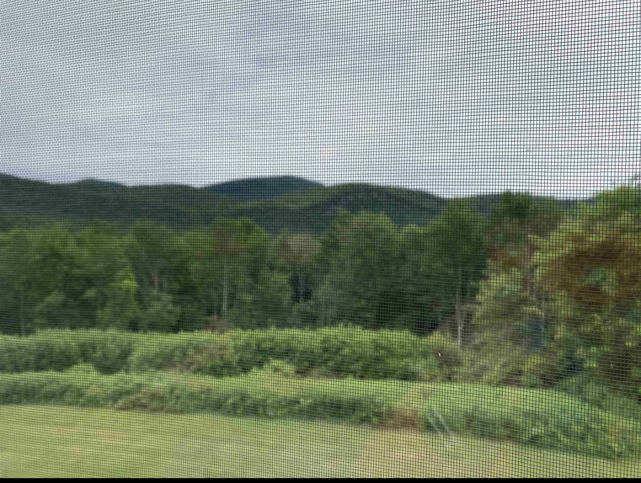 Building Photo - 708 Butternut Hill Rd