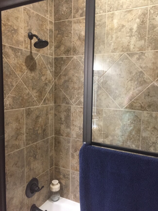 Tiled shower glass shower doors - 500 Longhorn Dr