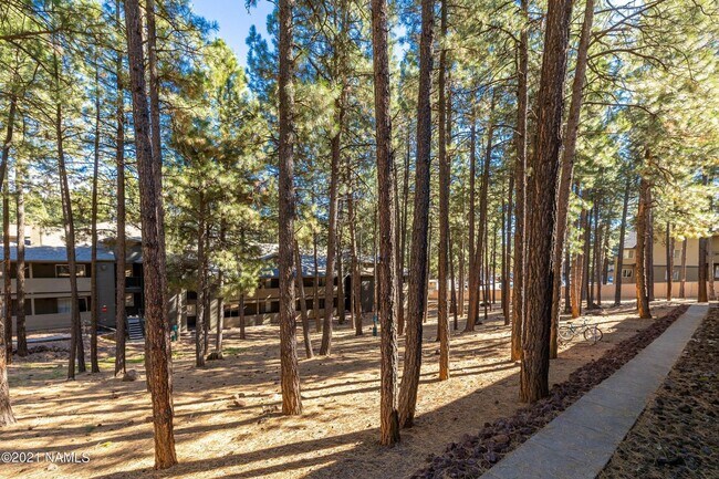 Building Photo - West-Flagstaff Condo in the Arbors - 2 Bed, 2 Bath - Students OK! 1 Sm. Pet OK! Avail. July 10th!!