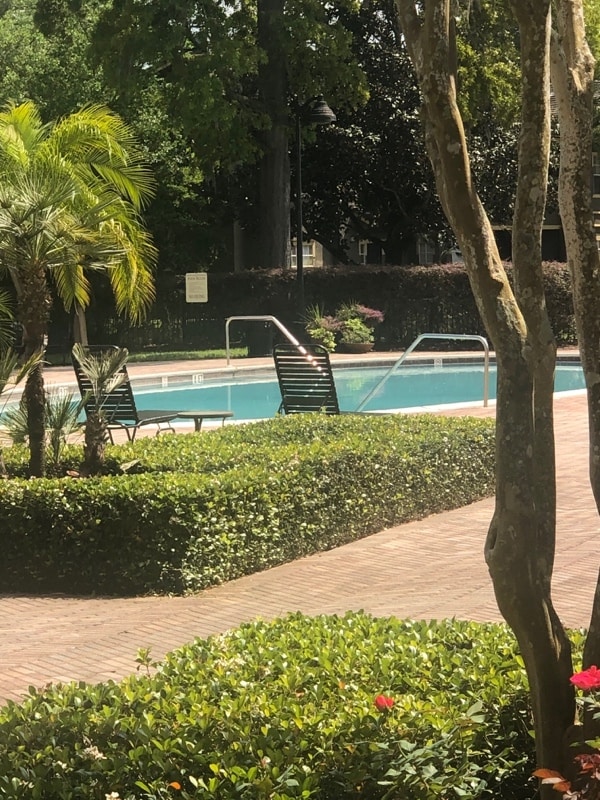 Building Photo - 1341 Arbor Vista Loop