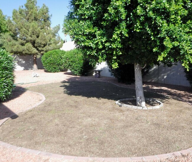 Building Photo - Beautiful 3bdrm-2ba in Mesa