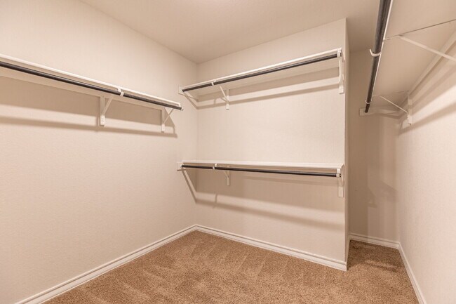 Building Photo - 2918 Lindenwood Run