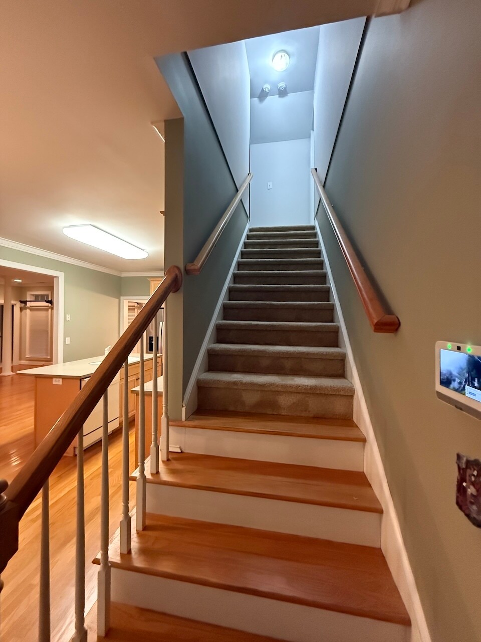 Building Photo - 2208 Anchoridge Ave