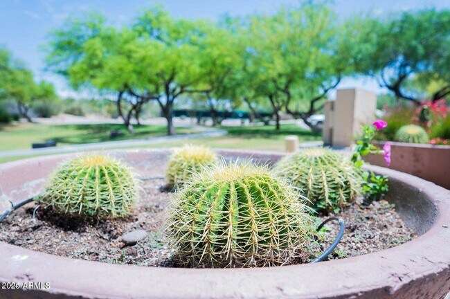 Building Photo - 7684 E Balao Dr