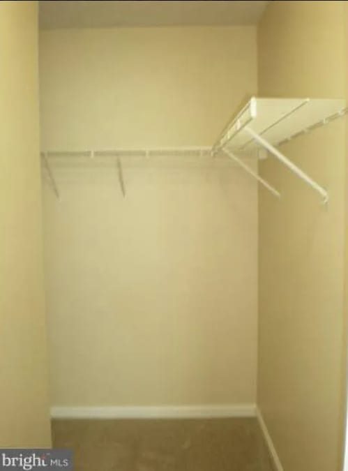 Building Photo - 8903 Mallard Ct