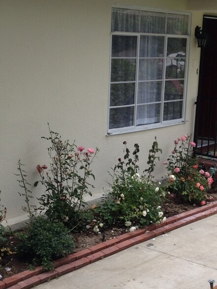 Primary Photo - 1818 Verdugo Loma Dr