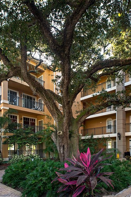 Building Photo - 1064 N Tamiami Trl