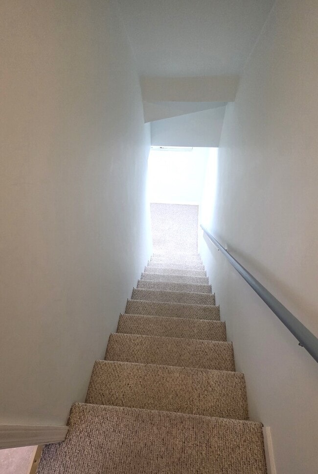 Building Photo - 1117 Franklin Ln