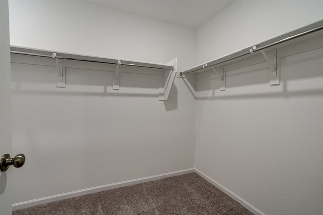 Building Photo - Brand New 4 Bedroom, 2 Bath Home!  Never Been Lived In!