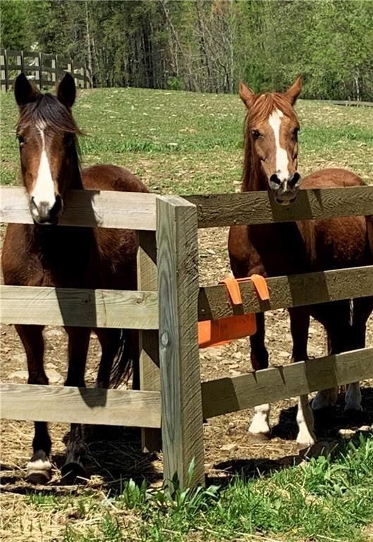 Building Photo - 185 Alpine Dr