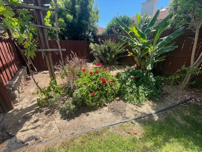 Building Photo - 12602 Creekwood Ct