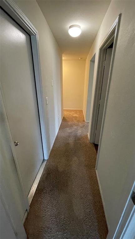 Building Photo - 307 Camellia Dr