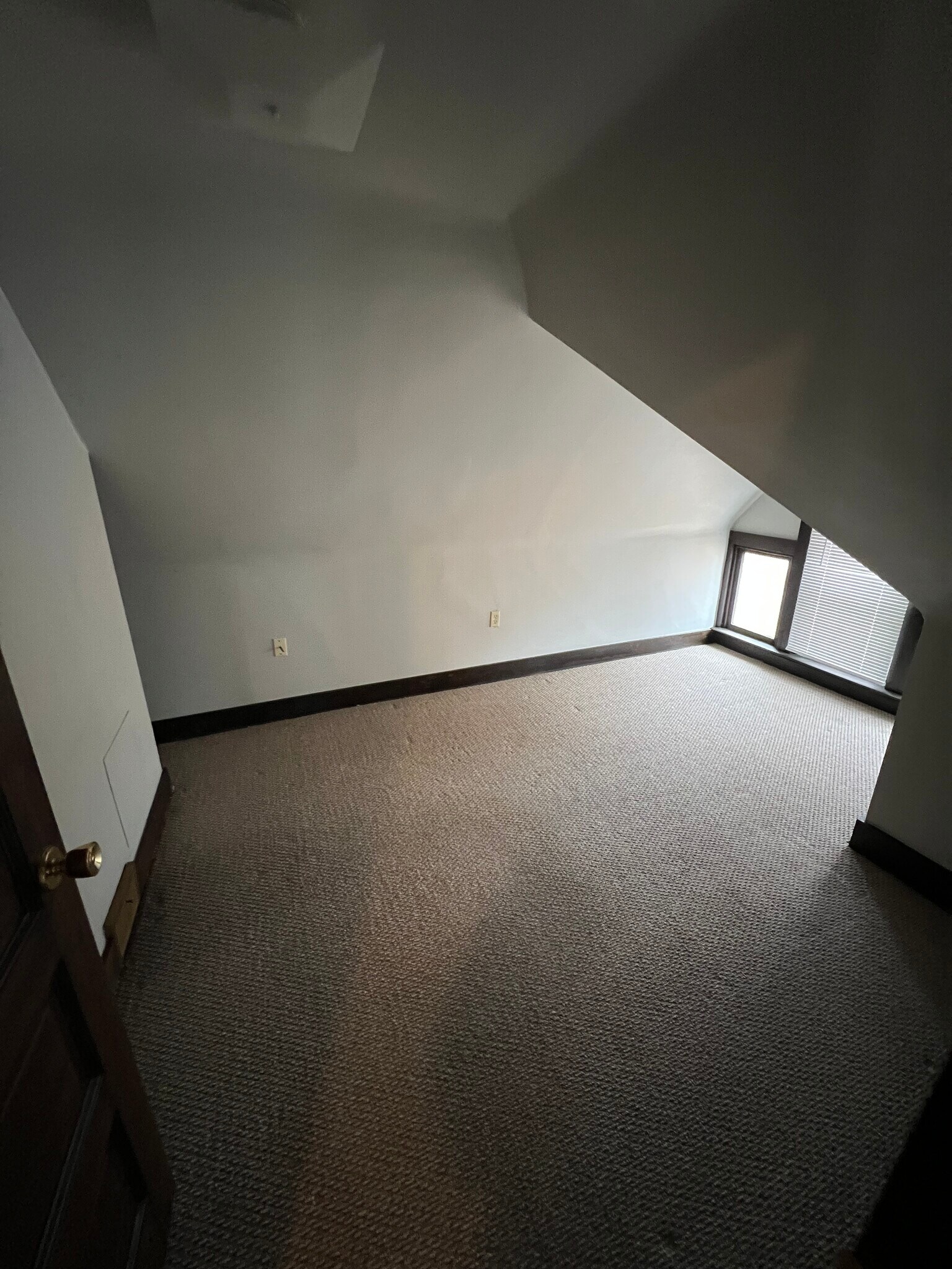 Building Photo - 271 Dravo Ave