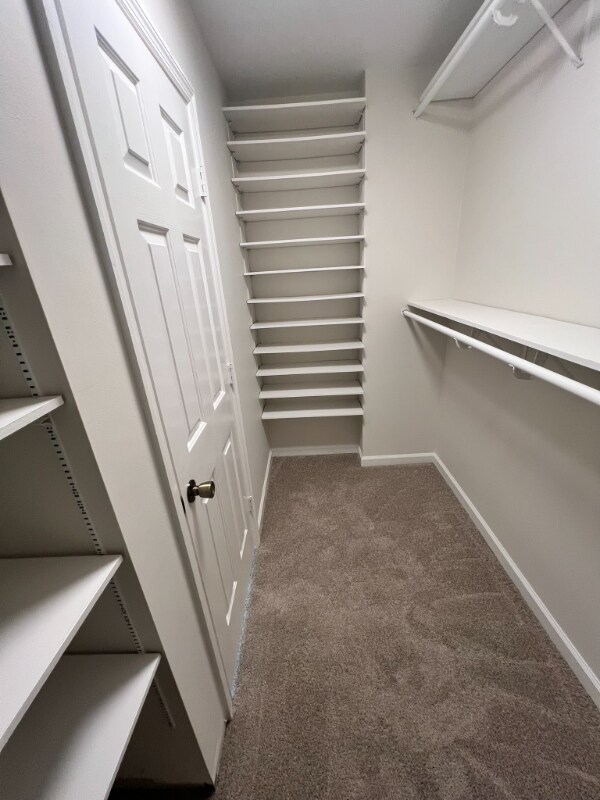 Building Photo - 2686 Douglas Ln