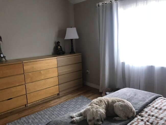 Building Photo - 1500 Pine Ave