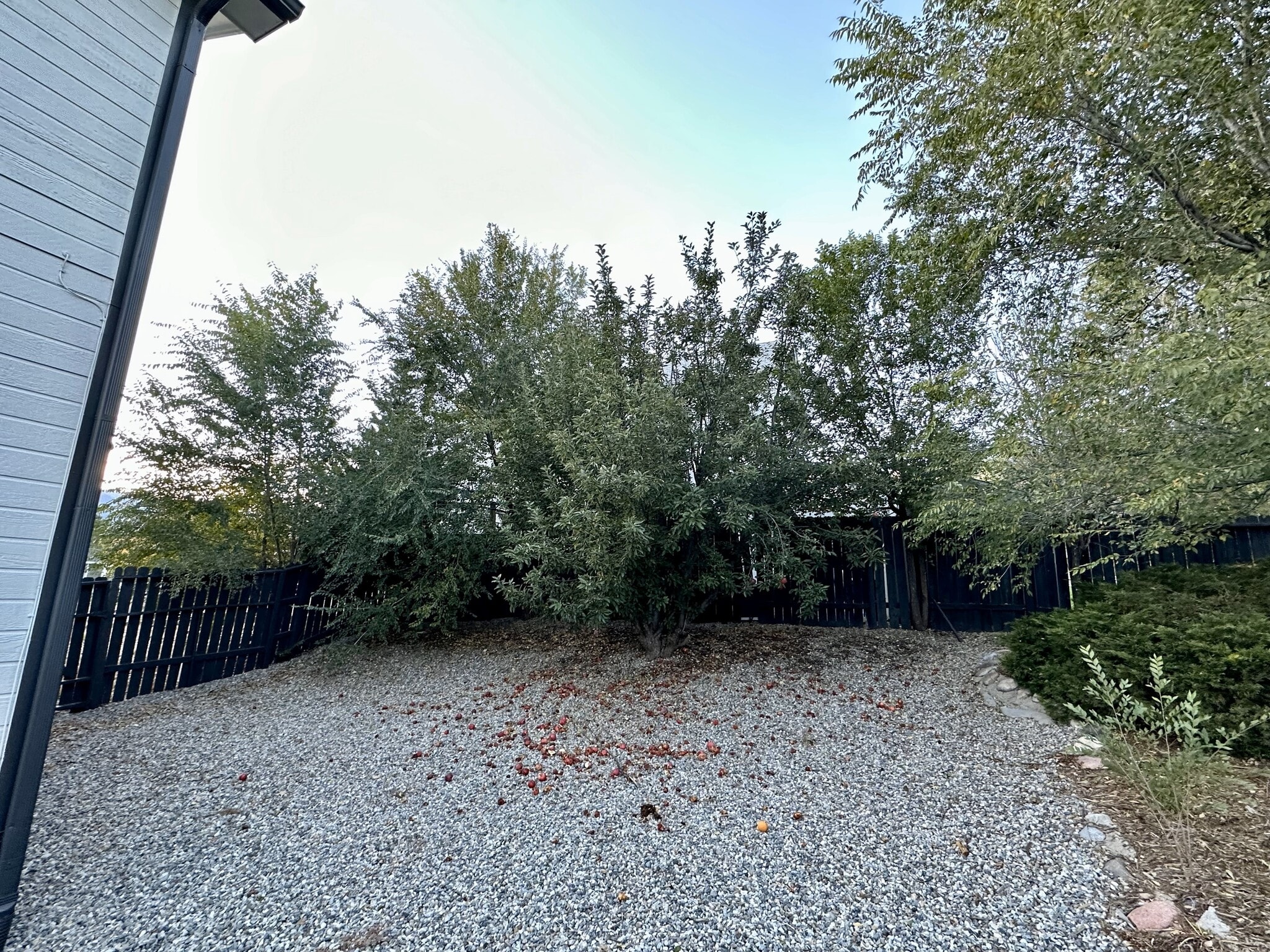 Building Photo - 3625 Trailhill Pl