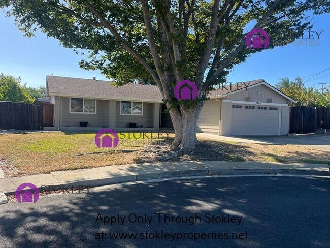 Building Photo - 3906 Birchwood Ct