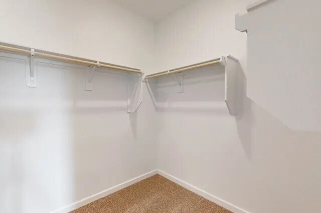 Building Photo - 21611 Shadowbrook Birch Dr