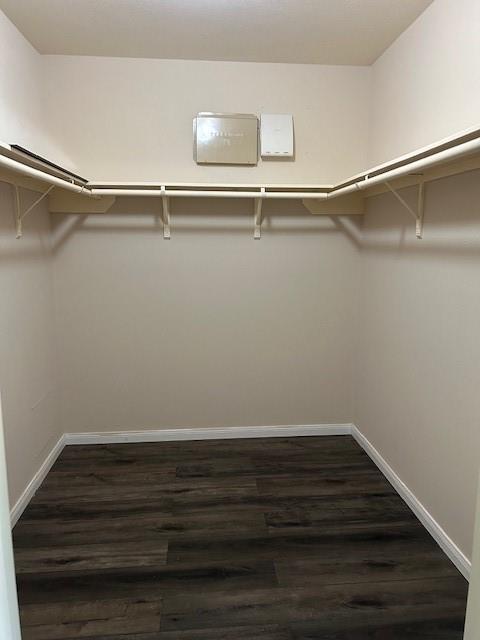 Building Photo - 5814 Meadowivy Ln