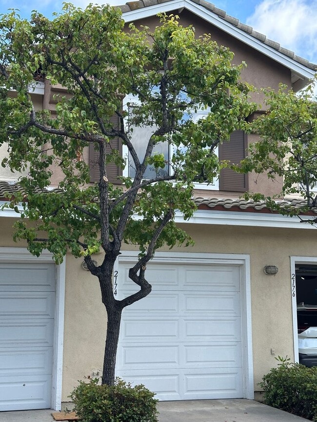 Building Photo - Centrally Located 2 Bedroom & 2 Bathroom Townhome w/ Garage in Cabo Bahia Community