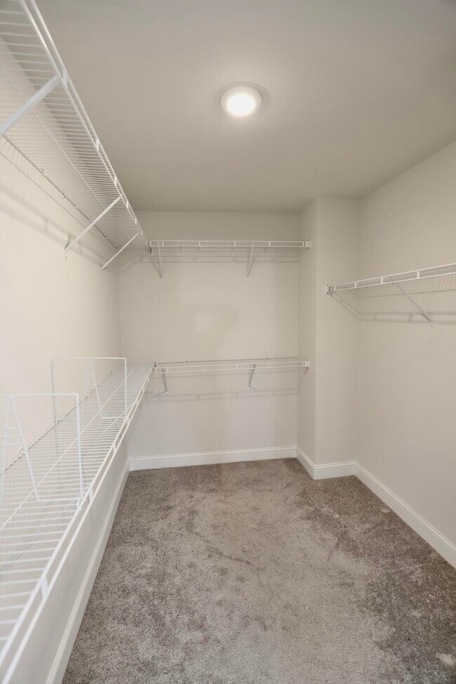 Building Photo - 870 Curlew Cir