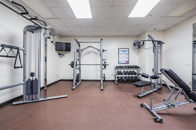 Building Photo - 345 Bayshore Blvd