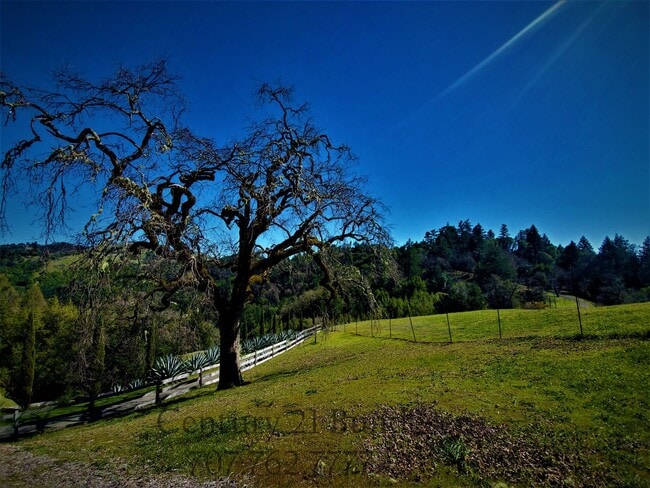 Building Photo - 4800 Muniz Ranch Rd