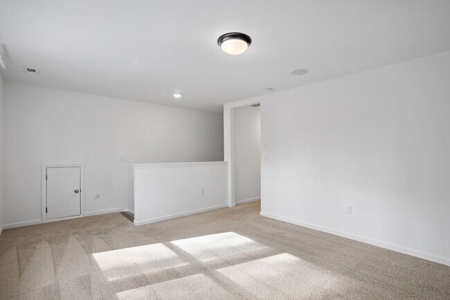 Building Photo - New Build Rental Home at Lake Royal!