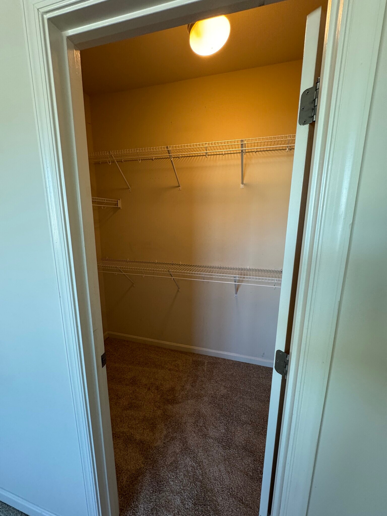This is 2 of 2 large primary bedroom walk-in closet - this is on the right. - 44520 Gray Wolf St