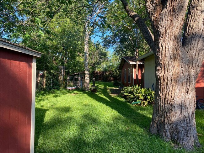 Building Photo - Charming South Austin Classic