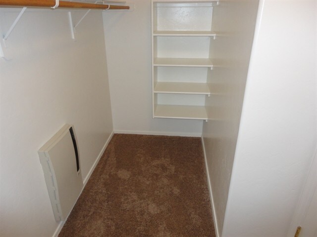 Building Photo - 4169 E Stony Meadow Dr